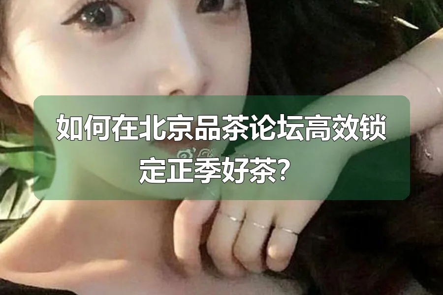 如何在北京品茶论坛高效锁定正季好茶？